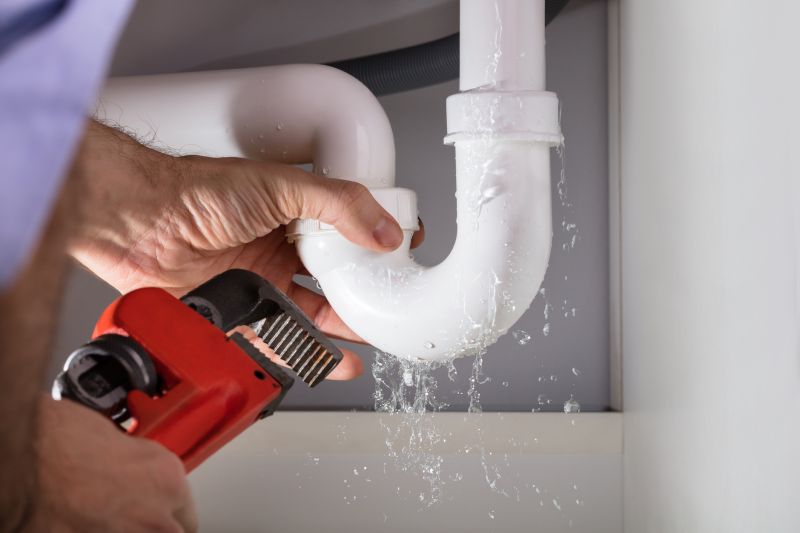 Most Common Plumbing Repairs Homeowners Encounter